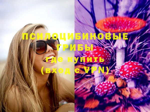 мяу мяу мука Абдулино