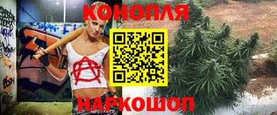 PSILOCYBIN Рязань