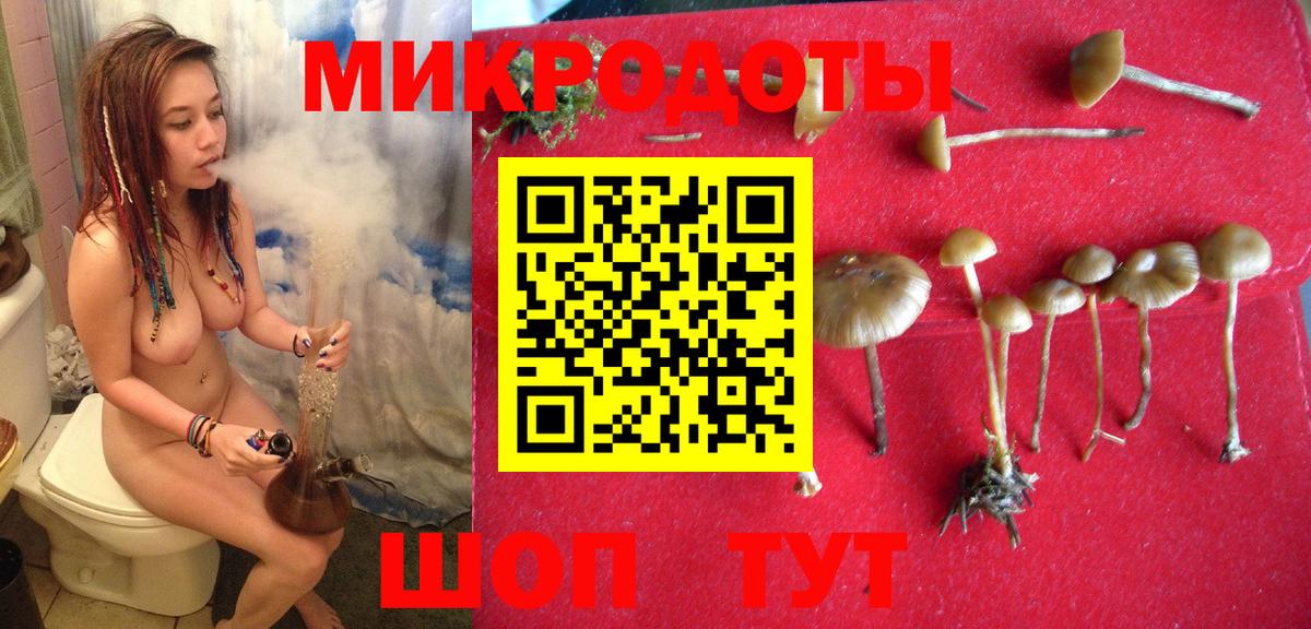 Псилоцибиновые грибы MAGIC MUSHROOMS Урус-Мартан