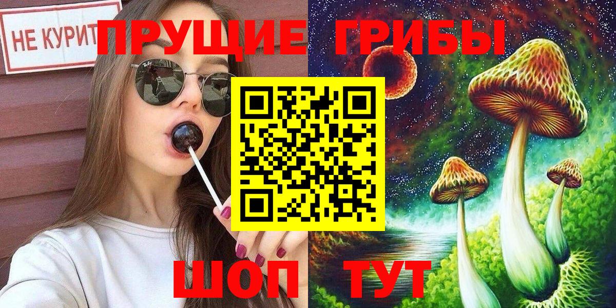 Галлюциногенные грибы Psilocybe  Галлюциногенные грибы прущие грибы  Вход с VPN  Урус-Мартан 